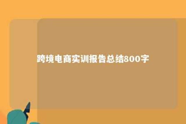 跨境电商实训报告总结800字 跨境电商实训报告模板及范文