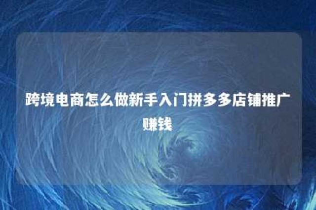 跨境电商怎么做新手入门拼多多店铺推广赚钱 拼单跨境商品